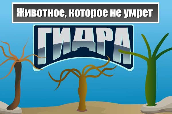 Как зайти на кракен браузеры