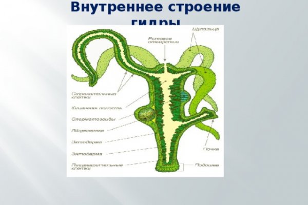 Kraken зеркало krakens13 at